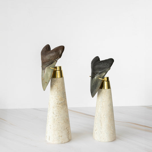 Colmillo de megalodón chico con base en travertino